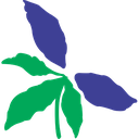 Cuando tu cuerpo te habla en silencio: señales de que la homeopatía es tu camino